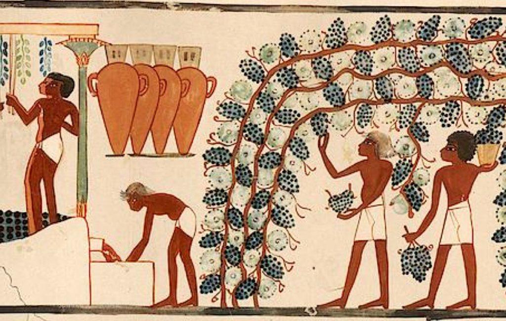 Who is the father of an epoch-making invention or a brief history of wine
