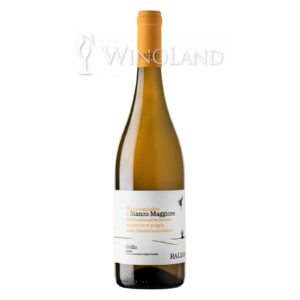 Wino Grillo Maggiore Rallo [Włochy] Wytrawne