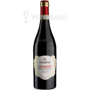 Wino Amarone DOCG Castalforte [Włochy] Wytrawne Corvina, Molinara