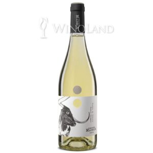 Wino Pinot Grigio Radica [Włochy] Wytrawne