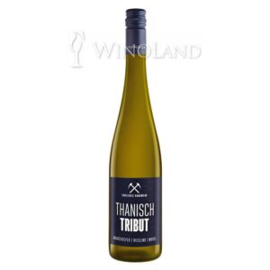Wino Riesling Tribut Grauschifer Thanisch Weingut [Niemcy] Wytrawne