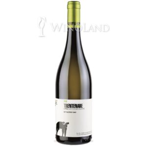 Wino FianoTrentenare Paestum San Salvatore [Włochy] Wytrawne