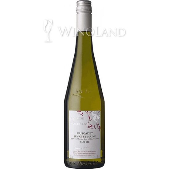 Muscadet Serve et Maine Railleres