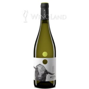 Wino Trebbiano d'Abruzzo Radica [Włochy] Wytrawne
