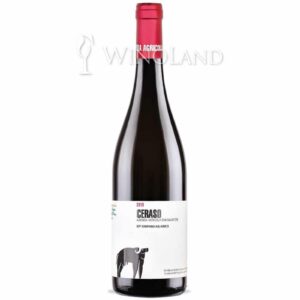 Wino Aglinico Ceraso San Salvatore [Włochy] Wytrawne