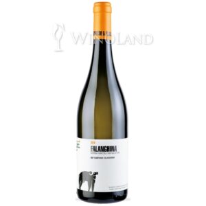 Wino Falanghina San Salvatore [Włochy] Wytrawne