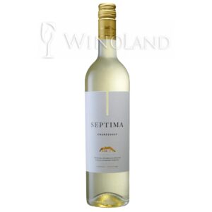 Wino Chardonnay Septima [Argentyna] Wytrawne