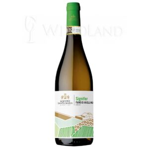 Wino Signifer Fiano di Avellino Macchie Santa Maria [Włochy] Wytrawne