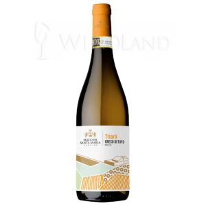 Wino Triarii Greco di Tufo Macchie Santa Maria [Włochy] Wytrawne