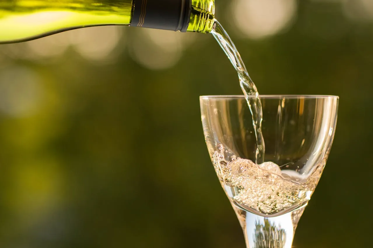 Wino ekologiczne